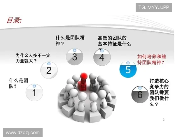 上海排球队战术解析：聚焦技术与团队协作的完美结合